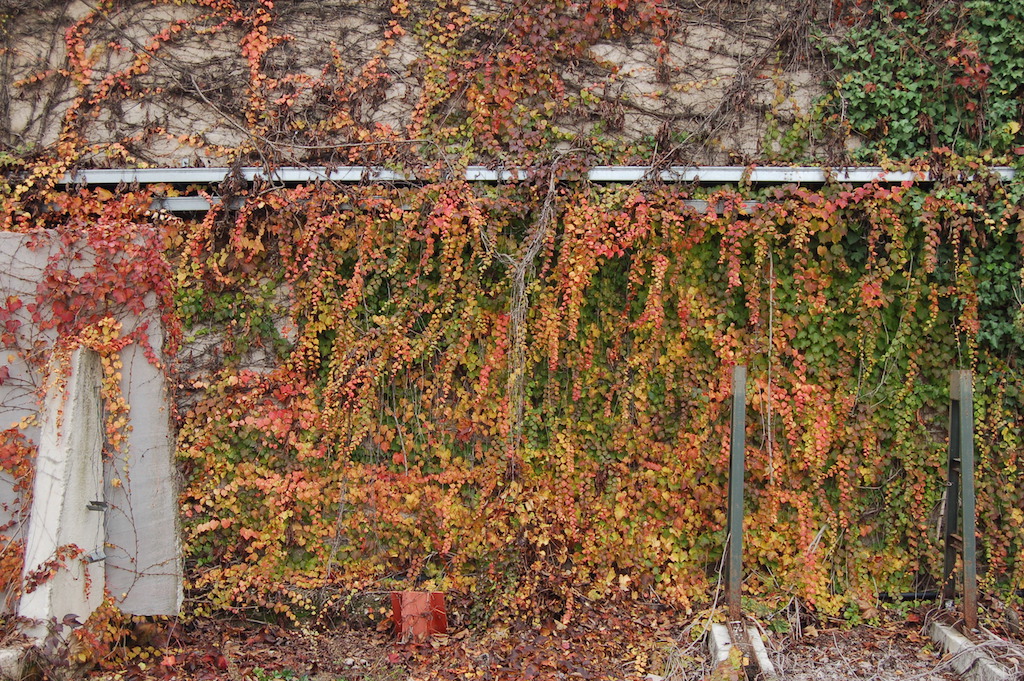Autunno