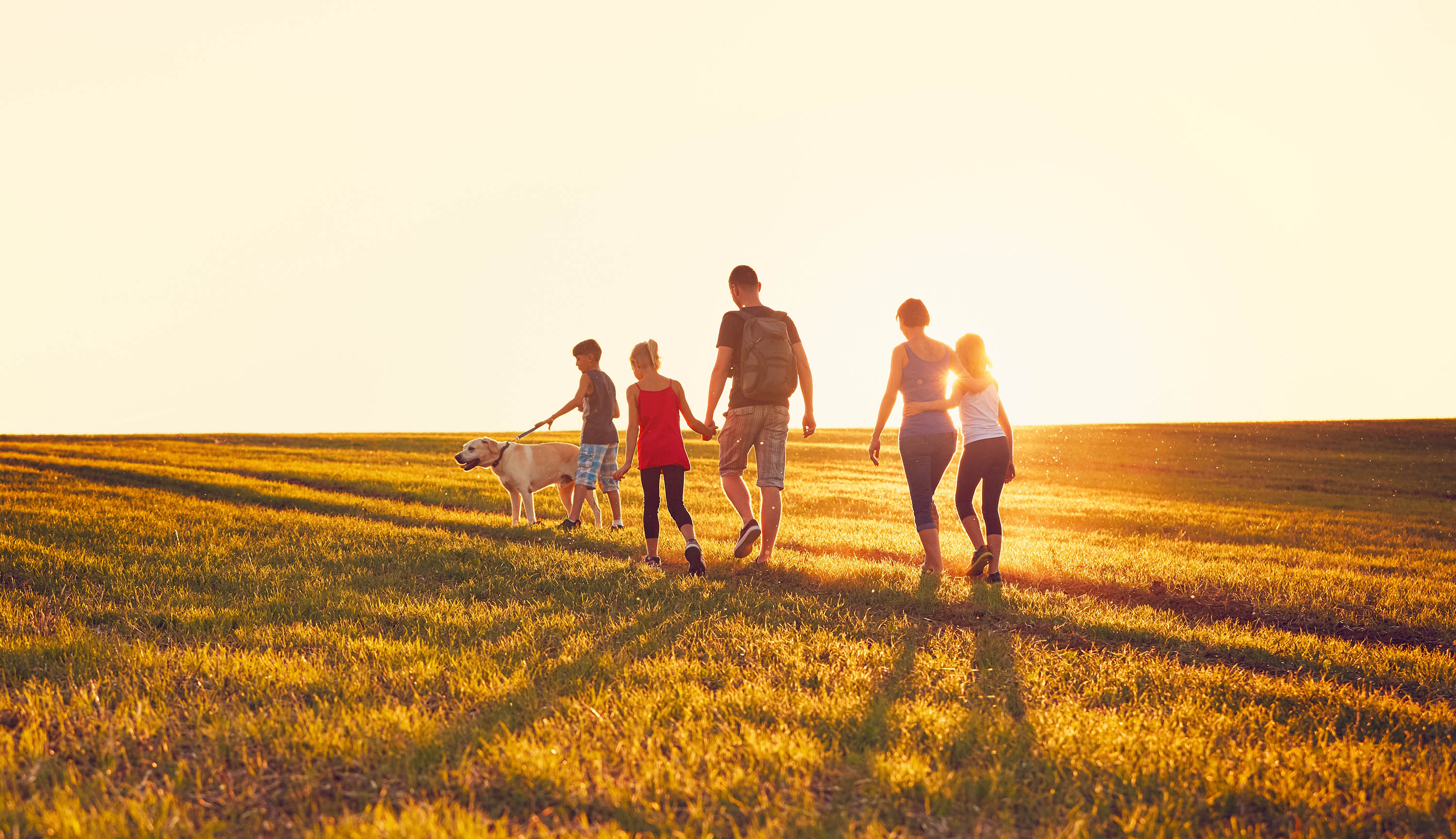 Nuova carta della famiglia 2020. Come accedere al servizio.