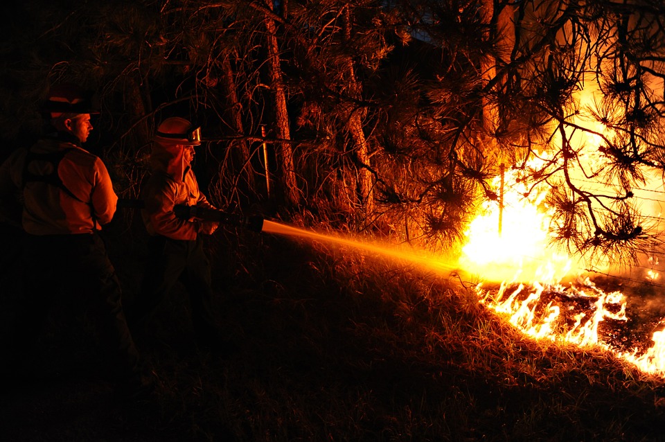 Campagna antincendio. I contatti per le emergenze.